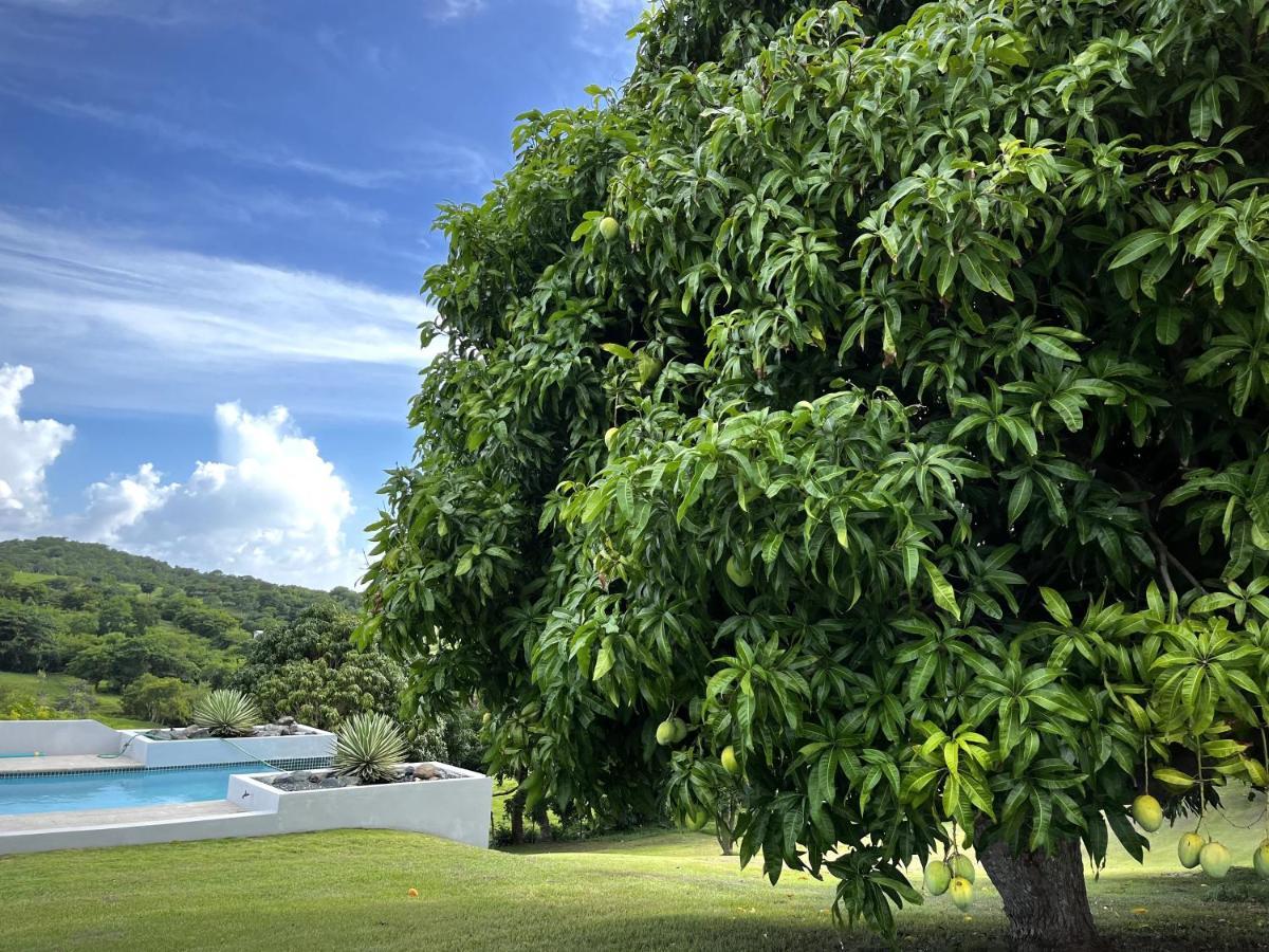 Lejos Eco Retreat Hotel วีเอเกส ภายนอก รูปภาพ